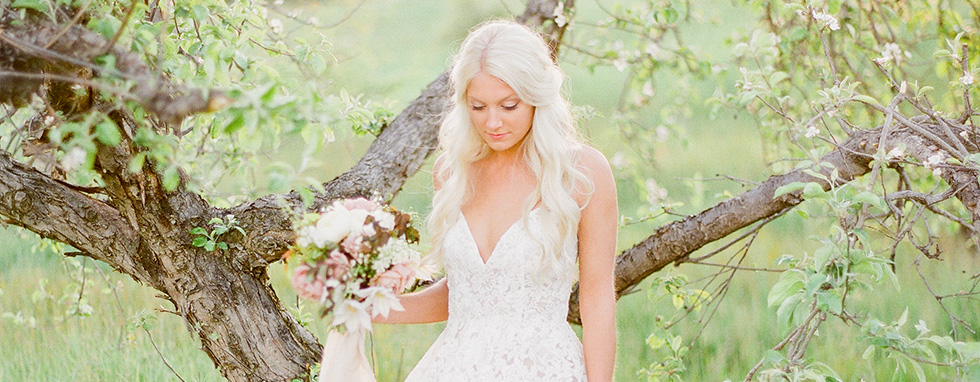 Bride in Vineyard