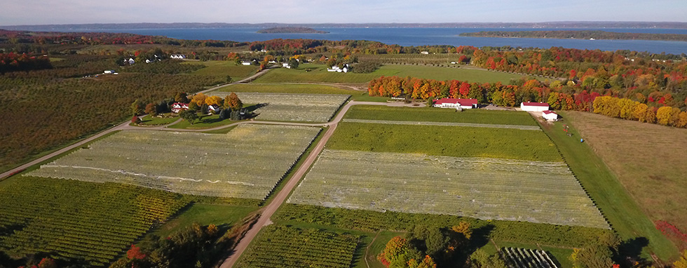 Aerial view of  Brys Estate Vineyard