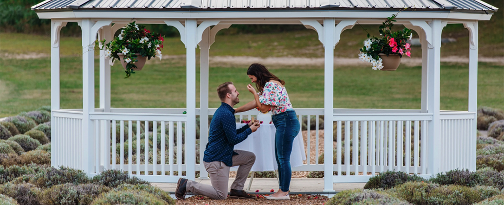 Proposal at Brys Estate