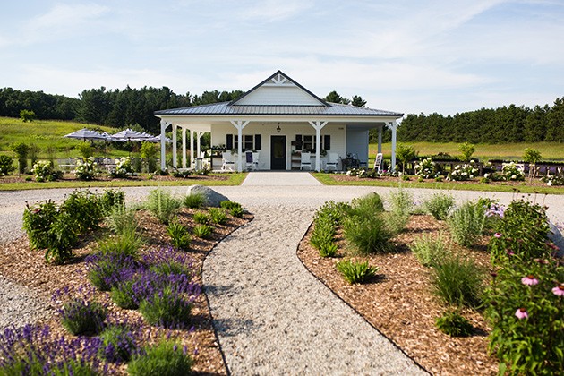 Brys winery best sale